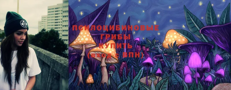 МЕГА онион  Отрадное  Галлюциногенные грибы MAGIC MUSHROOMS 